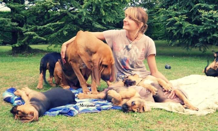 Considerazioni psicologiche sulla relazione uomo - cane